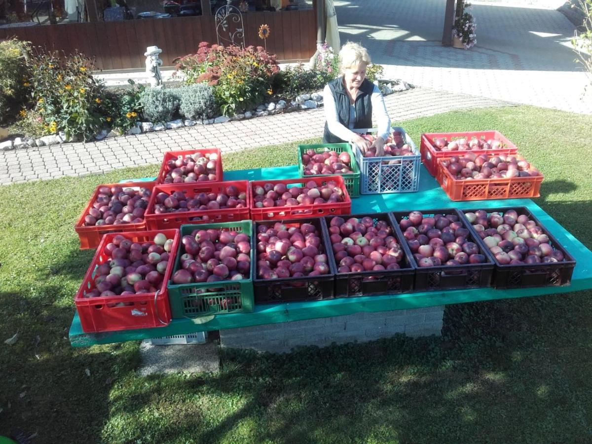 Ferienwohnungen Oranhof 벨덴암워스에르시 외부 사진