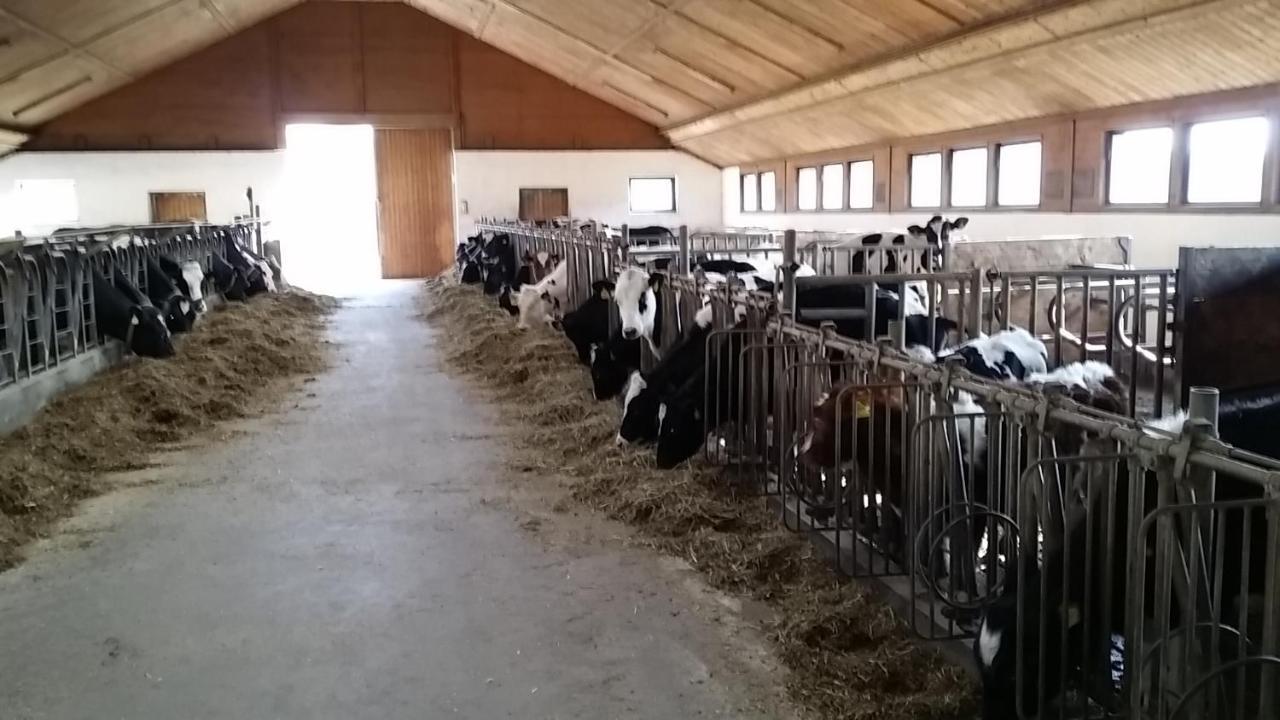 Ferienwohnungen Oranhof 벨덴암워스에르시 외부 사진