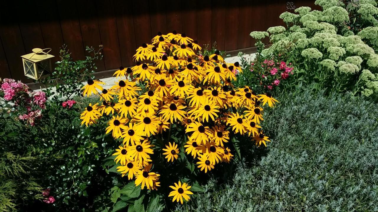 Ferienwohnungen Oranhof 벨덴암워스에르시 외부 사진