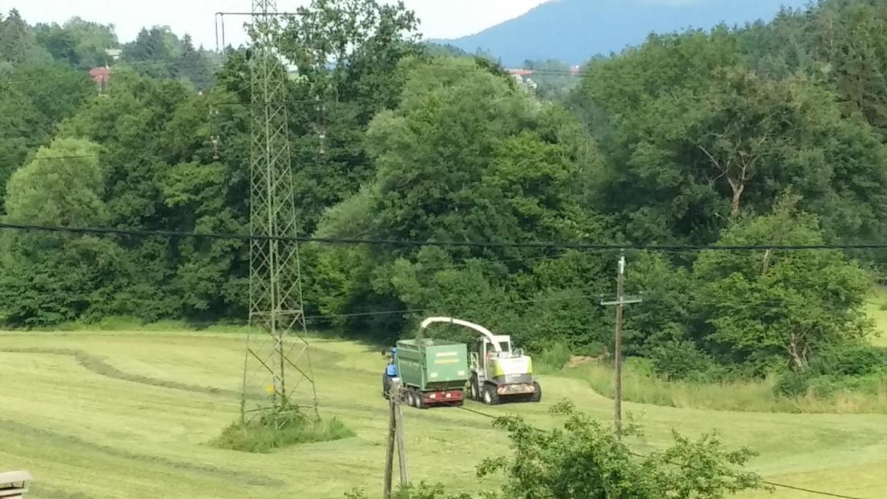 Ferienwohnungen Oranhof 벨덴암워스에르시 외부 사진